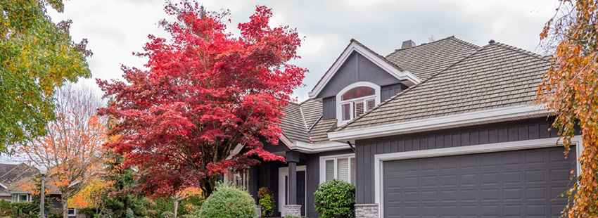 A modern house with gray siding and a gray garage door, surrounded by a yard with green bushes and a vibrant red-leaved tree in autumn.